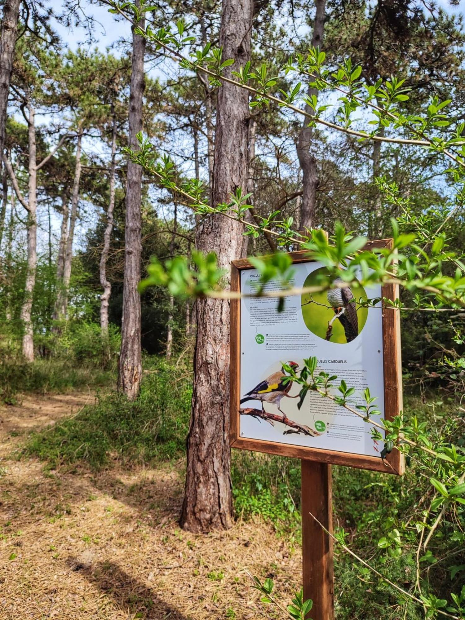 Green Village Eco Resort Линьяно-Саббьядоро Экстерьер фото